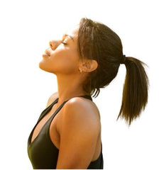 Pony Tail Human Remy hair